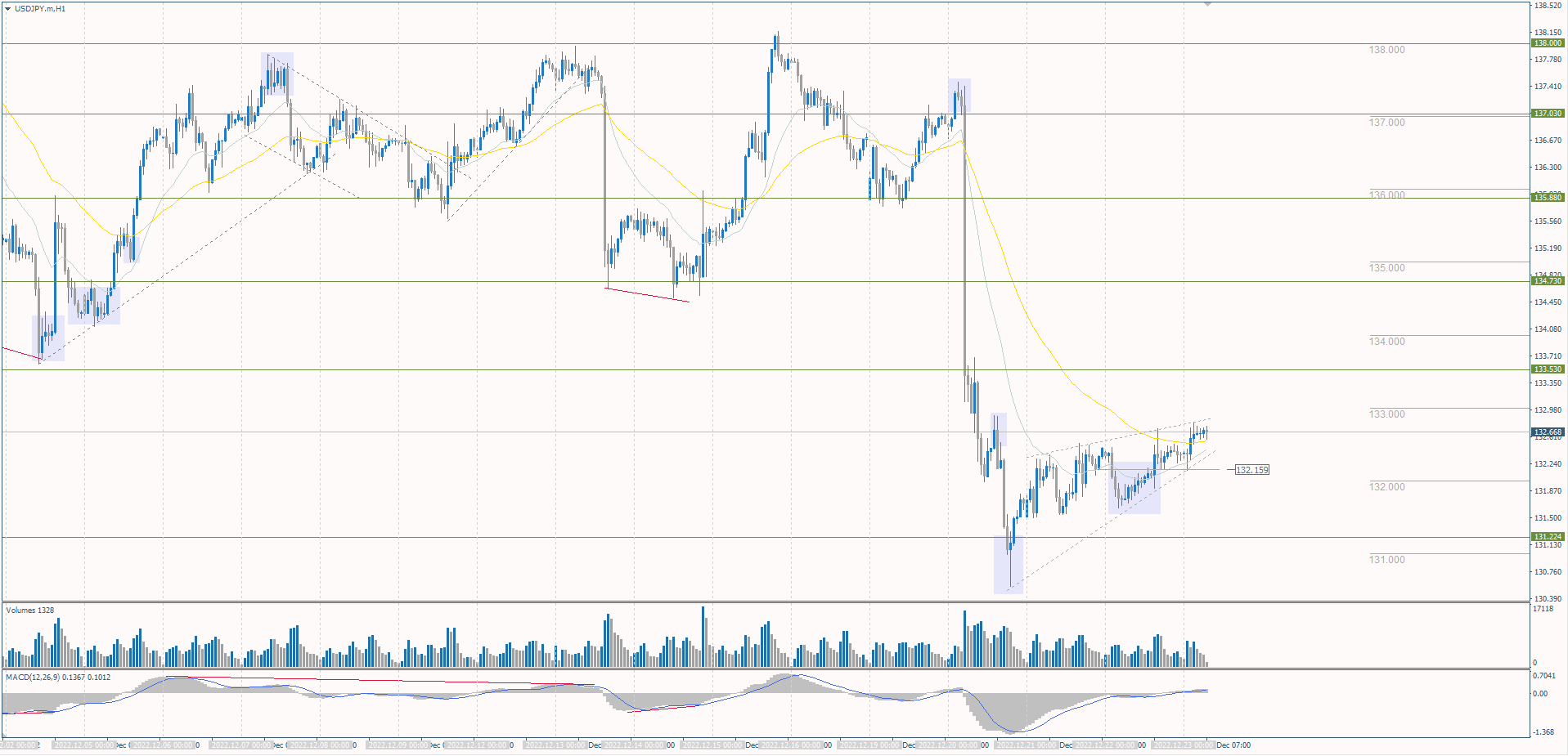  The USD/JPY currency pair 