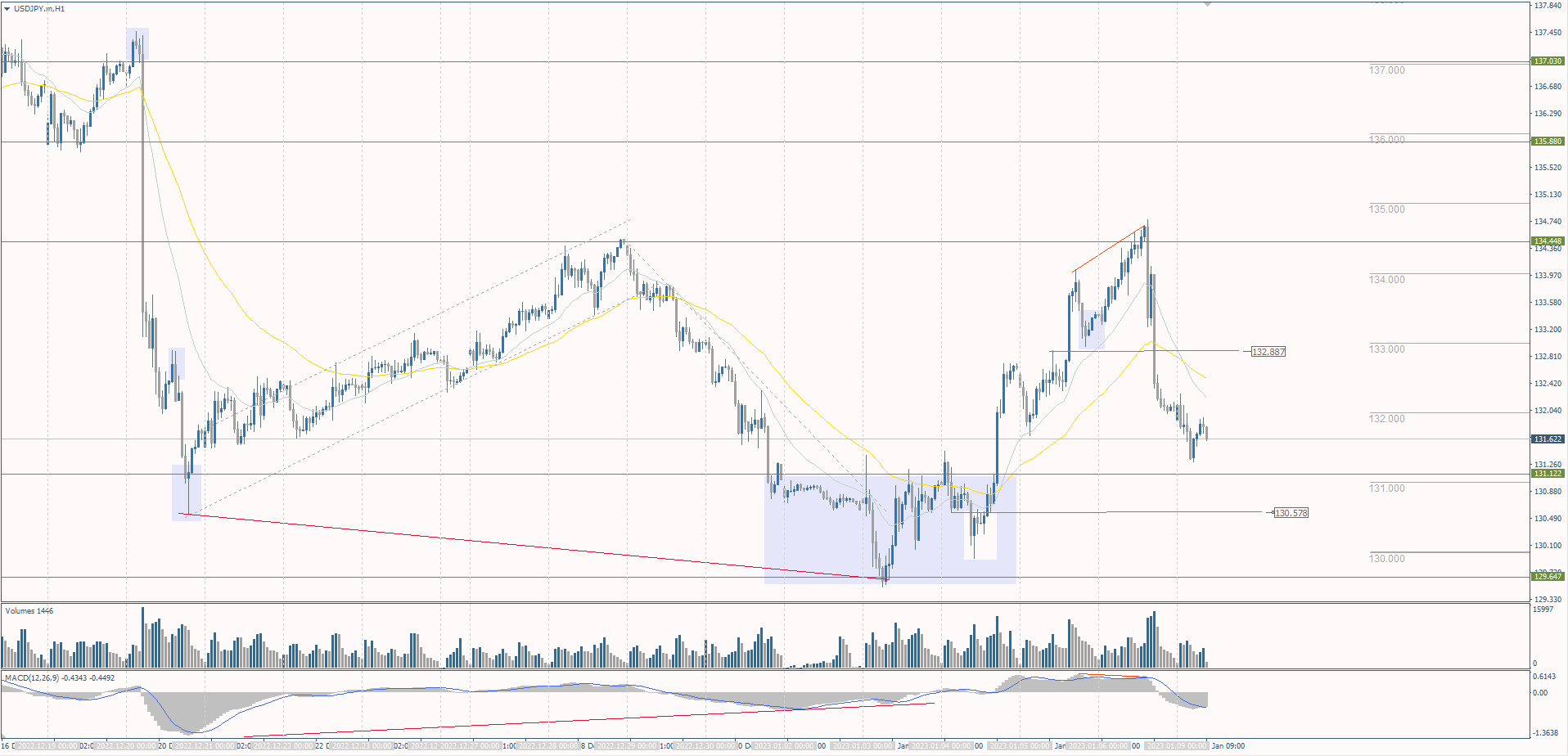  The USD/JPY currency pair 