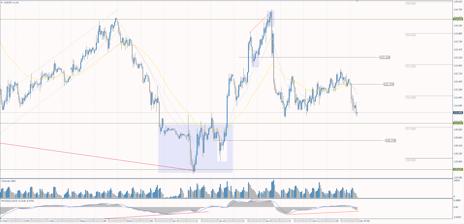  The USD/JPY currency pair 