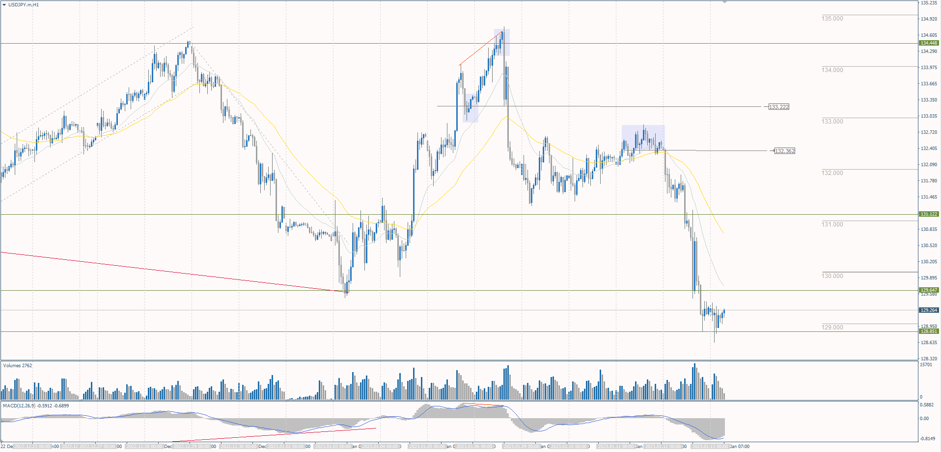  The USD/JPY currency pair 