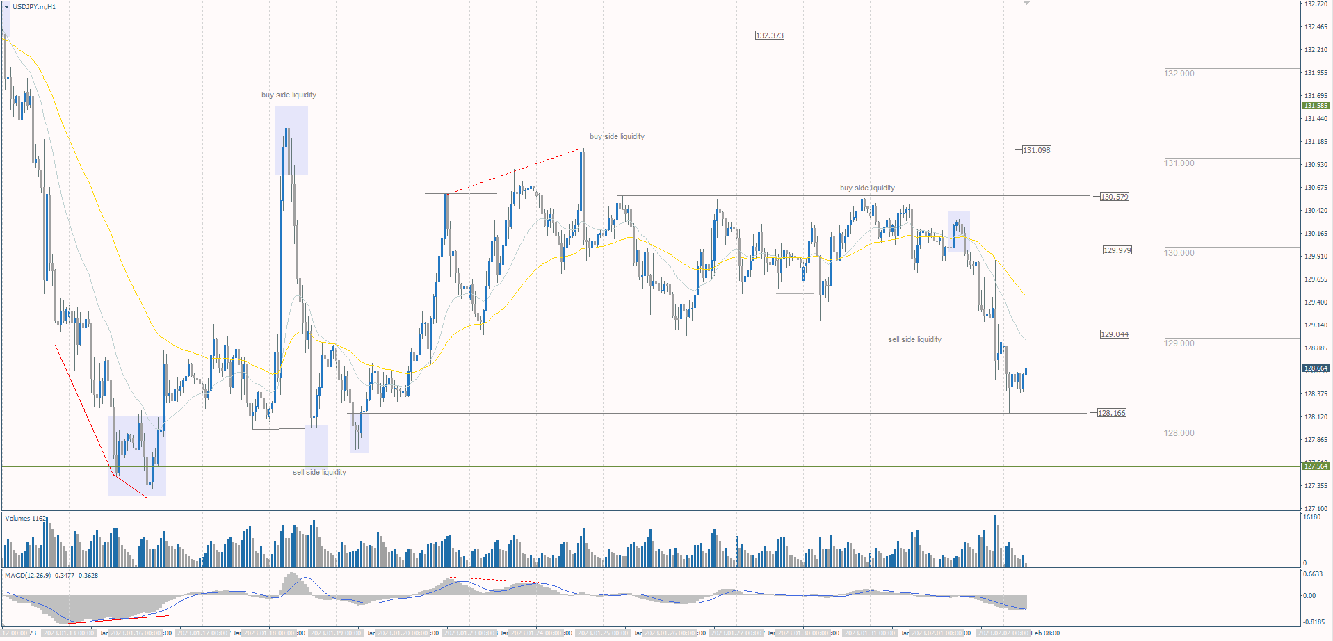  The USD/JPY currency pair 
