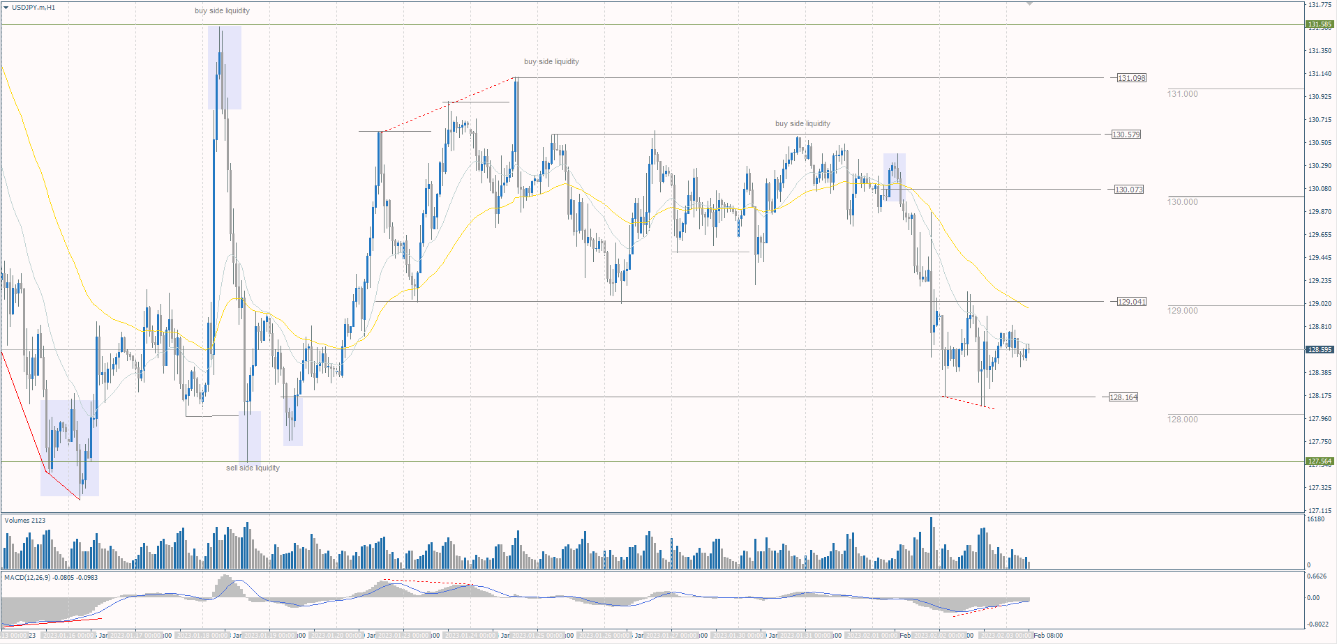  The USD/JPY currency pair 
