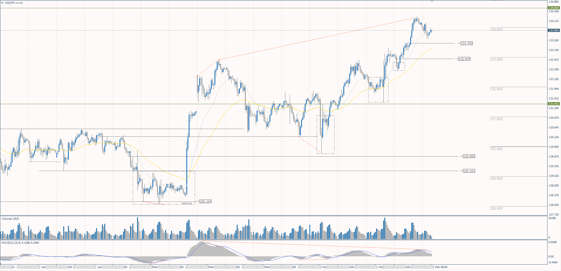  The USD/JPY currency pair 