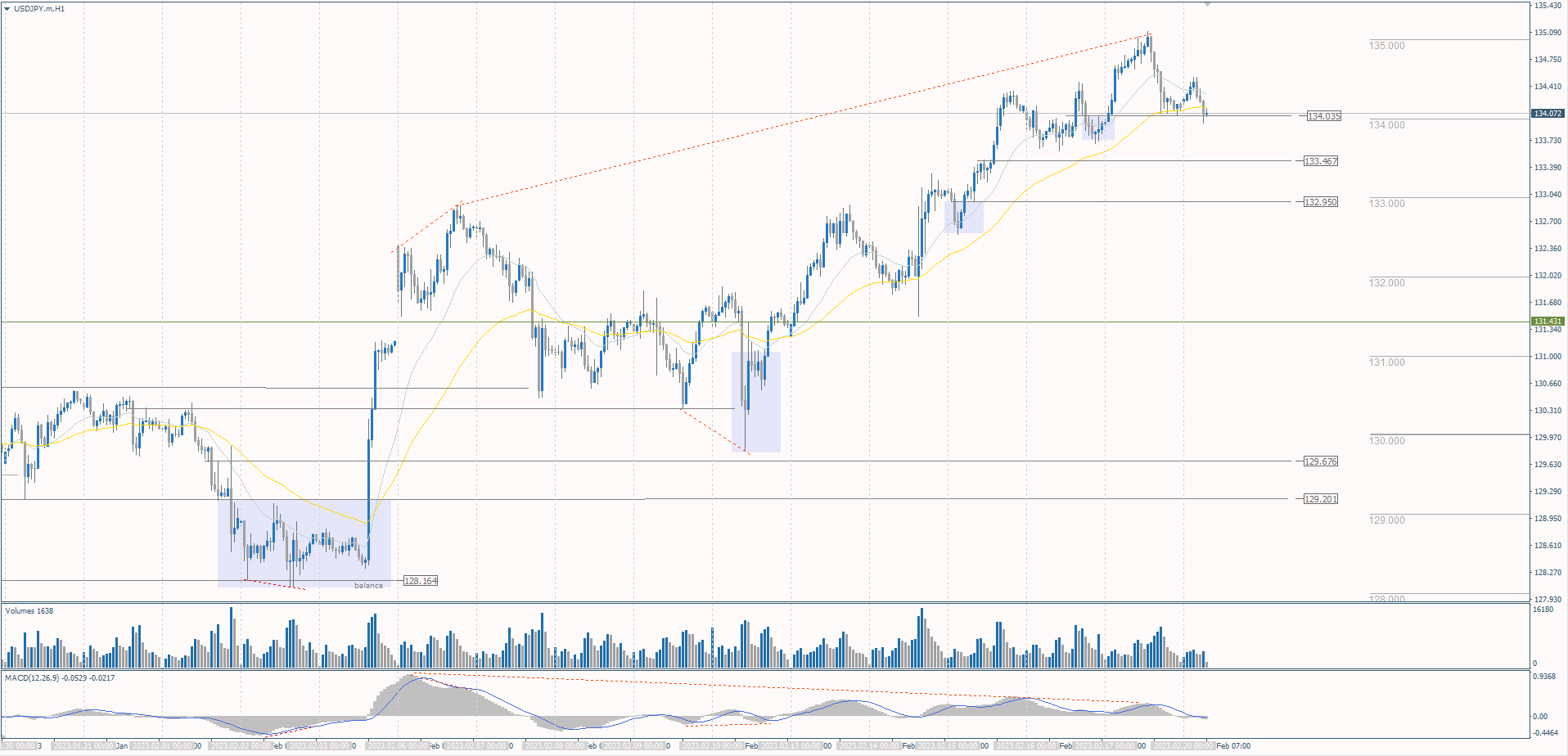  The USD/JPY currency pair 