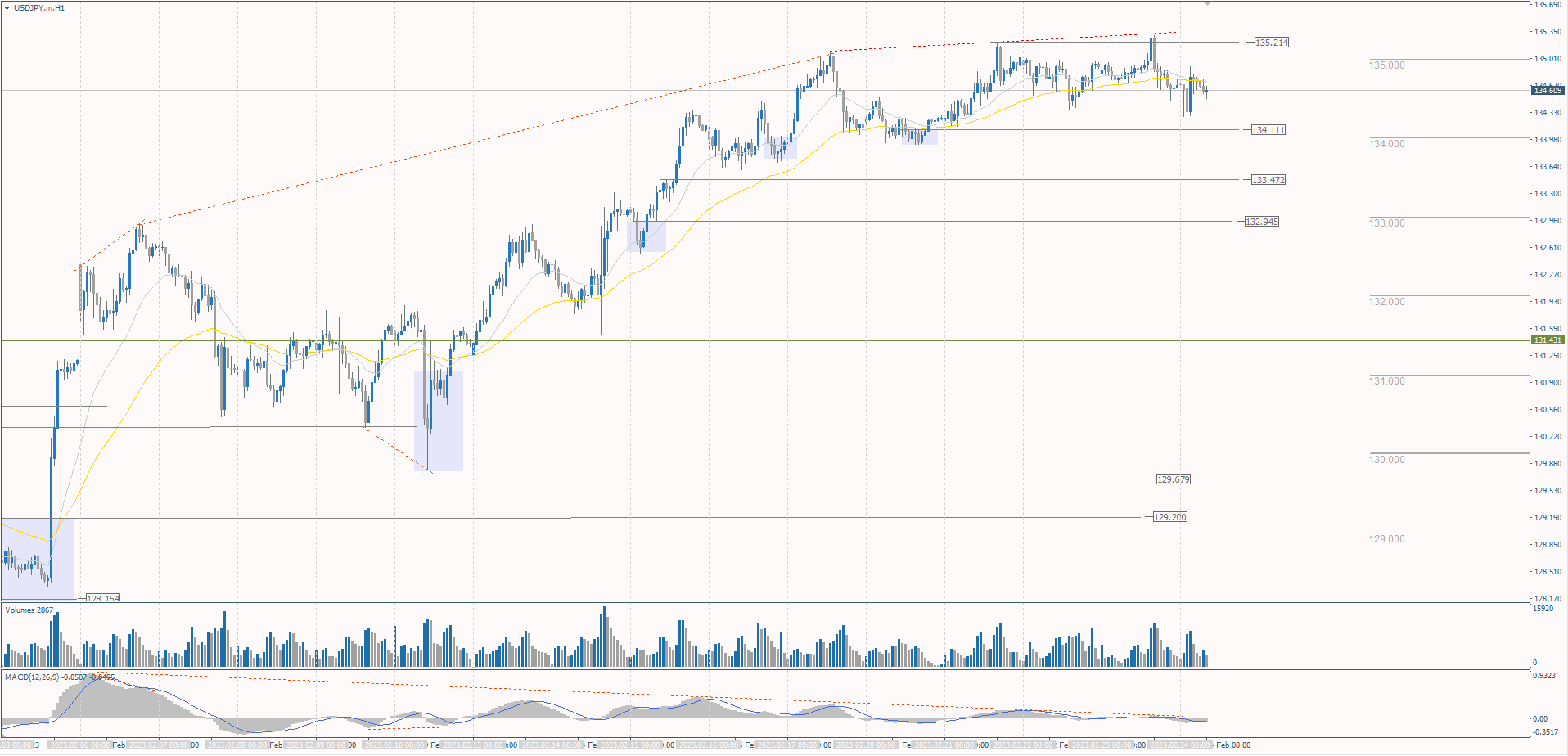  The USD/JPY currency pair 