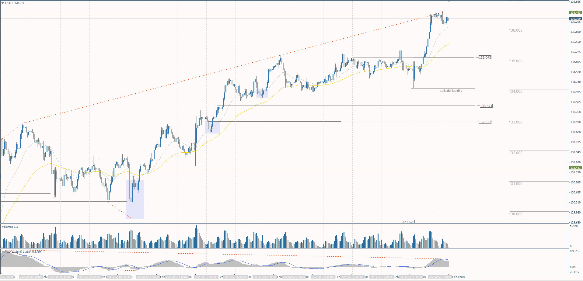 The USD/JPY currency pair 