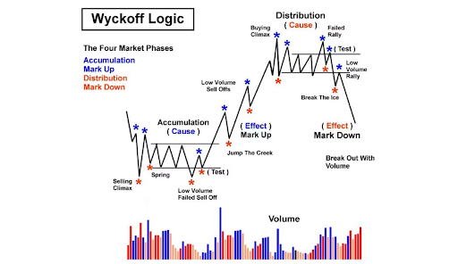 Fundamental Analysis