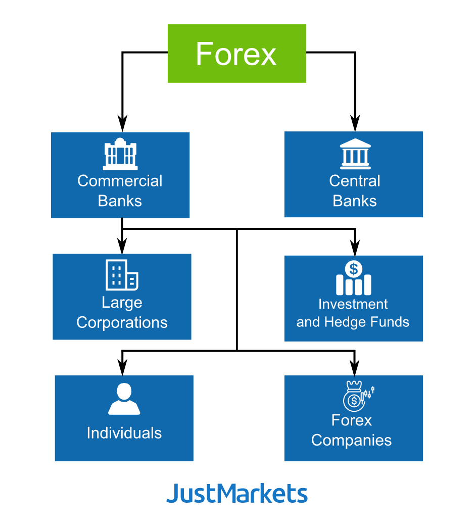 Forex major participants